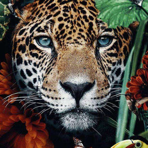 Leopardenporträt im Dschungel Diamond Painting