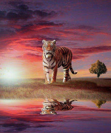 Tiger mit Spiegelbild im Sonnenuntergang - Diamond Painting Motiv