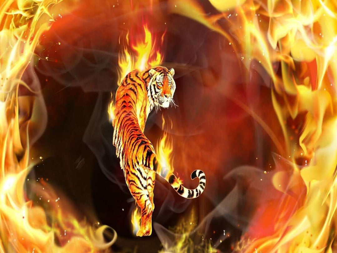 Tiger und Feuer - Diamond Painting mit Flammen