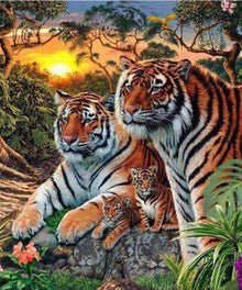 Tigerfamilie bei Sonnenuntergang - Diamond Painting Dschungelmotiv