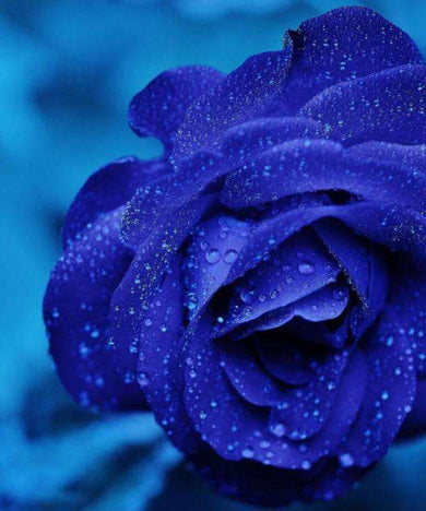 Blaue Rose Blumenmotiv Diamond Painting