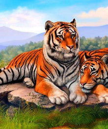 Tiger ruhen sich aus - Diamond Painting Motiv