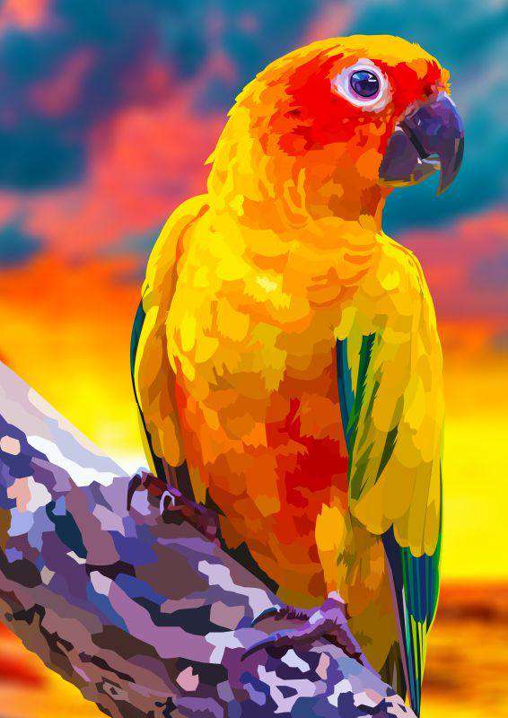 Tropischer Lori - Diamond Painting Papageienmotiv