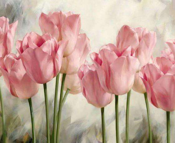 Rosa Tulpen - Diamond Painting Blumenmotiv