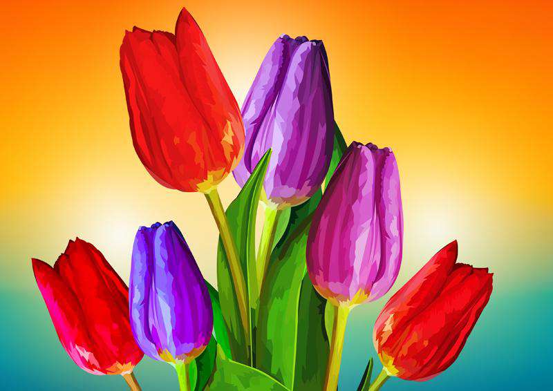 Tulpen von Elvira Clement Diamond Painting