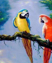 Zwei Papageien in einem Baum - Diamond Painting Motiv