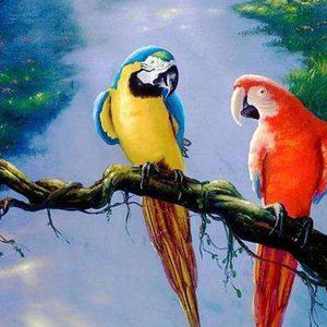 Zwei Papageien in einem Baum - Diamond Painting Motiv