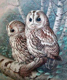 Zwei Eulen auf einem Ast - Diamond Painting Motiv