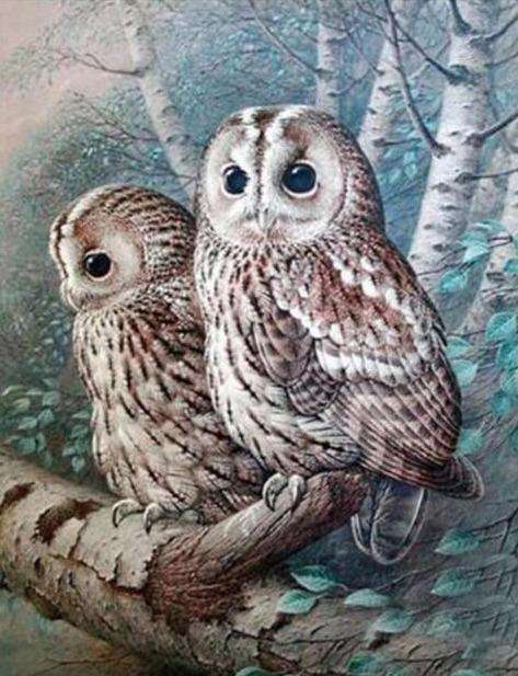 Zwei Eulen auf einem Ast - Diamond Painting Motiv