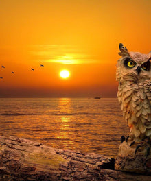 Eule bei Sonnenuntergang - Diamond Painting Motiv