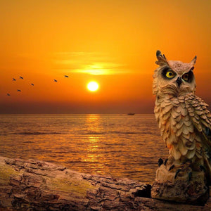 Eule bei Sonnenuntergang - Diamond Painting Motiv