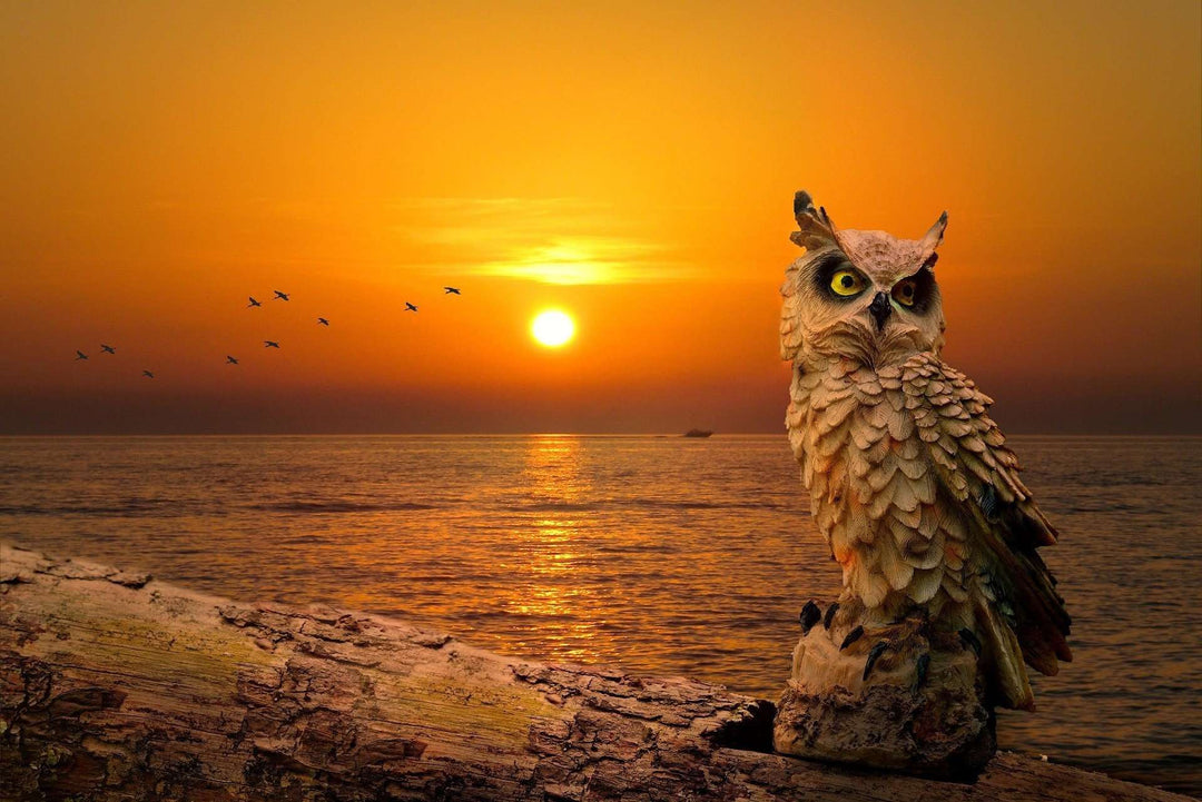 Eule bei Sonnenuntergang - Diamond Painting Motiv