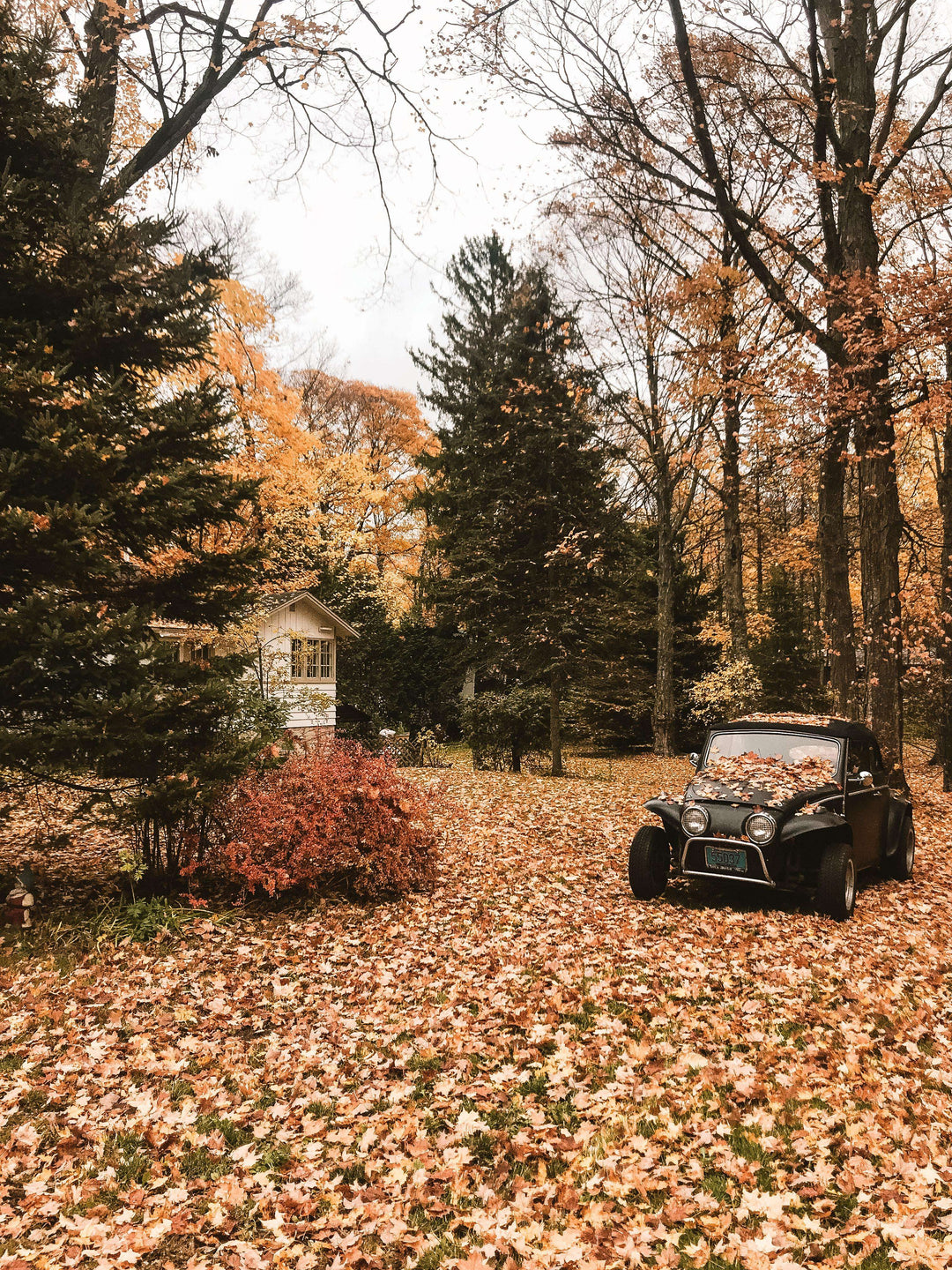 Verlassenes Auto im Wald - Diamond Painting Motiv