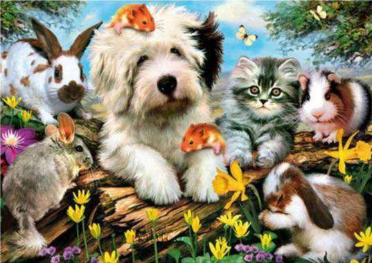 Haustiere im Garten - Diamond Painting Motiv