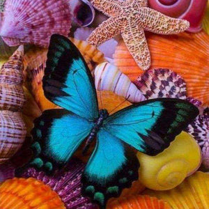 Schmetterling und Muscheln - Diamond Painting Meeresmotiv