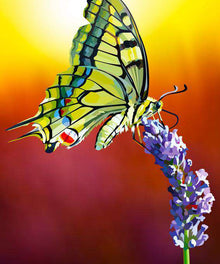 Schmetterling auf Lavendel - Diamond Painting Naturmotiv