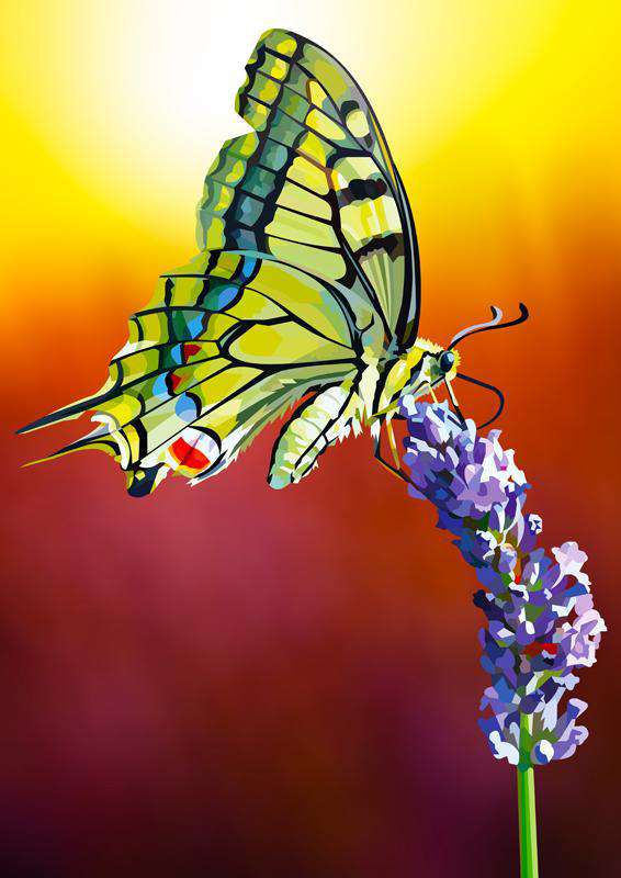 Schmetterling auf Lavendel - Diamond Painting Naturmotiv