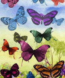 Bunte Schmetterlinge Diamond Painting mit Wiese