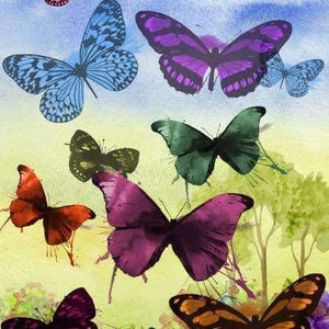 Bunte Schmetterlinge Diamond Painting mit Wiese
