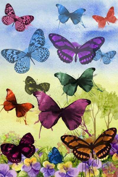 Bunte Schmetterlinge Diamond Painting mit Wiese
