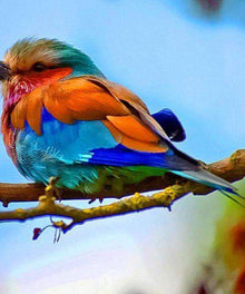 Vögel 5 Tiermotiv - Diamond Painting Vogelmotiv