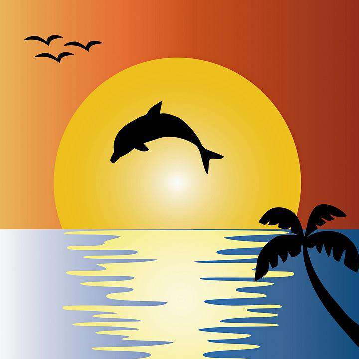 Glücklicher Delphin in der Sonne - Diamond Painting Kinder Motiv