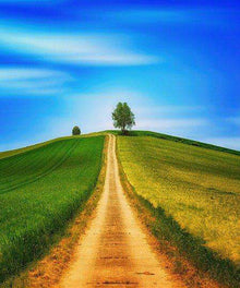 Wandern am Berg - Diamond Painting mit sommerlicher Berglandschaft