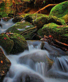 Wasser in Herbststimmung - Diamond Painting Landschaftsmotiv