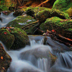 Wasser in Herbststimmung - Diamond Painting Landschaftsmotiv