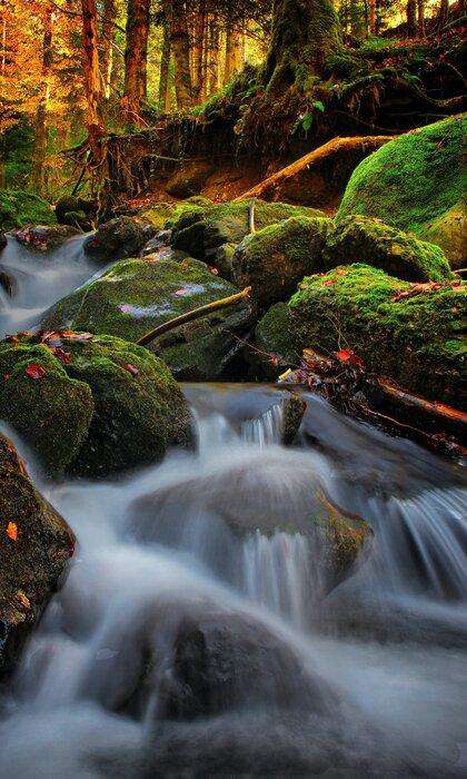 Wasser in Herbststimmung - Diamond Painting Landschaftsmotiv