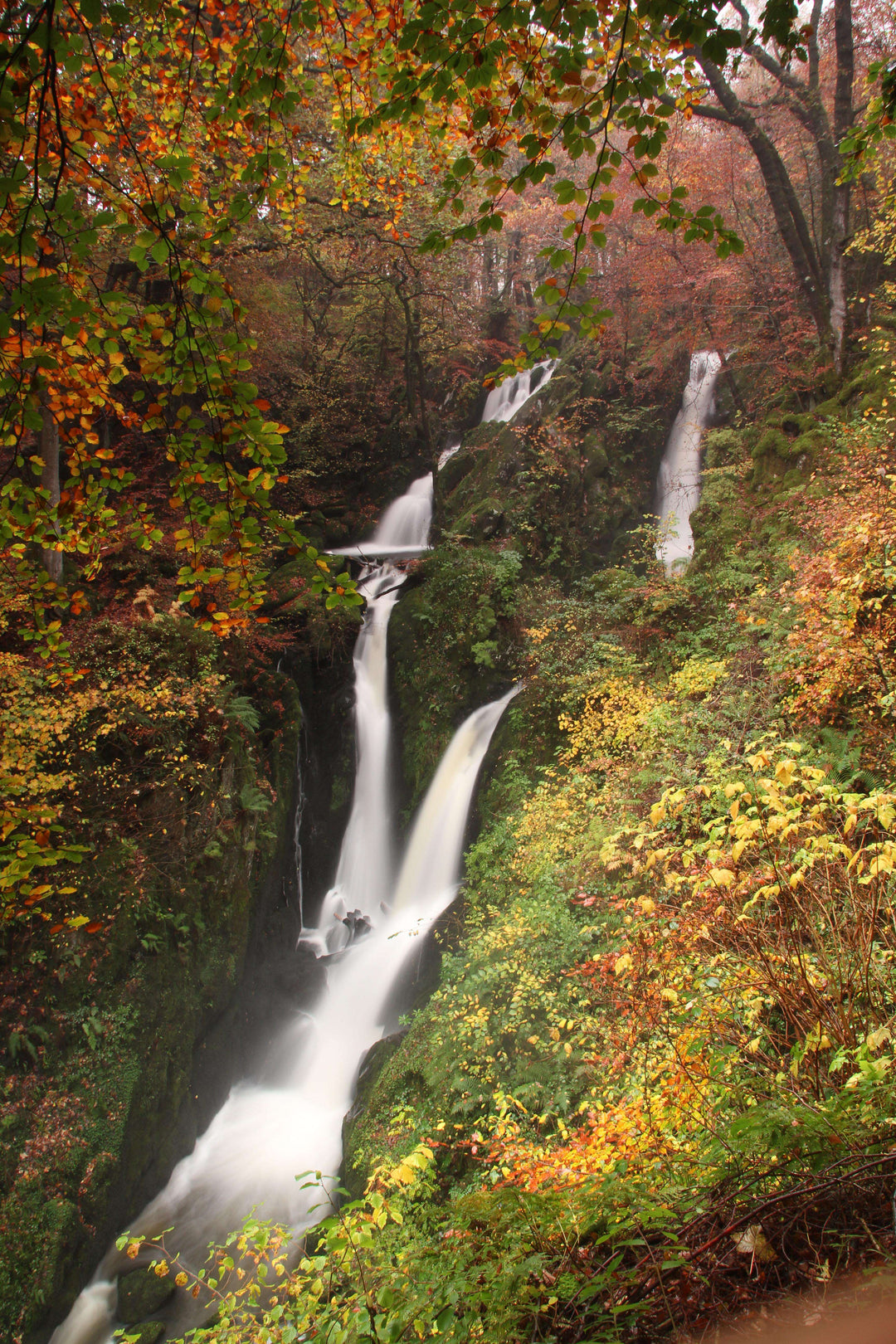 Wasserfall im Herbstwald - Diamond Painting Herbstmotiv