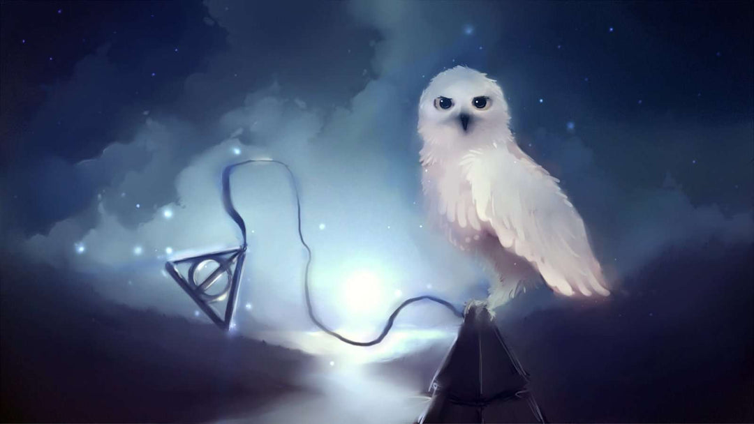 Weiße Eule aus Harry Potter - Diamond Painting Fantasy Eule