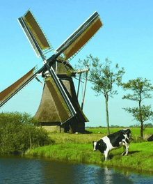 Windmühle und Kühe am Wasser - Diamond Painting Bauernhofmotiv