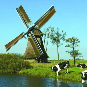 Windmühle und Kühe am Wasser - Diamond Painting Bauernhofmotiv
