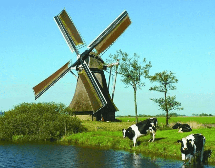 Windmühle und Kühe am Wasser - Diamond Painting Bauernhofmotiv