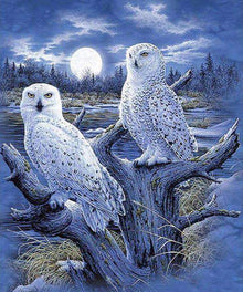 Wintereulen im Wald - Diamond Painting Tiermotiv