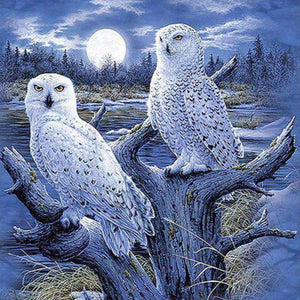 Wintereulen im Wald - Diamond Painting Tiermotiv