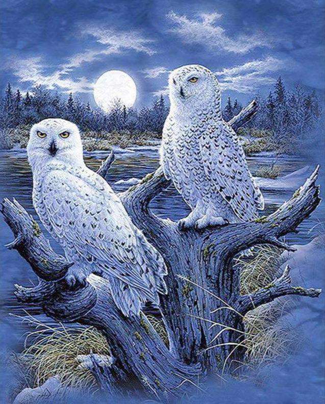 Wintereulen im Wald - Diamond Painting Tiermotiv