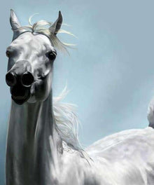 Weißes Pferd im Wind - Diamond Painting Pferdemotiv