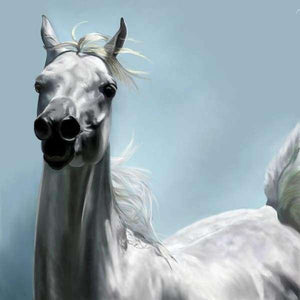 Weißes Pferd im Wind - Diamond Painting Pferdemotiv