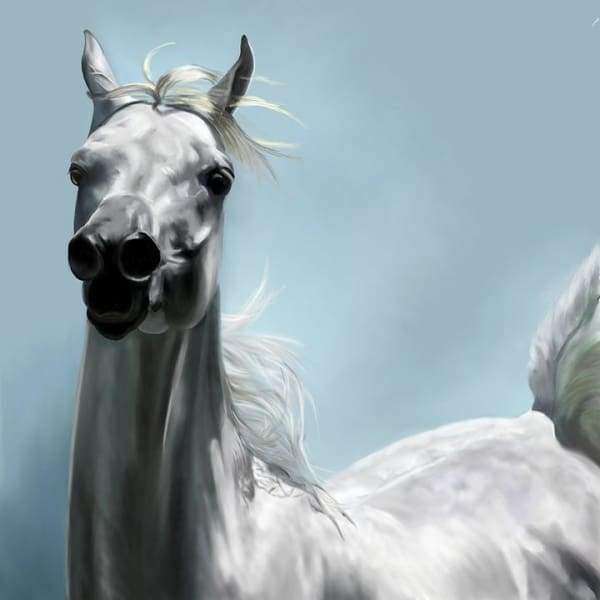 Weißes Pferd im Wind - Diamond Painting Pferdemotiv