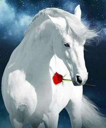 Weißes Pferd mit roter Rose - Diamond Painting Pferdemotiv