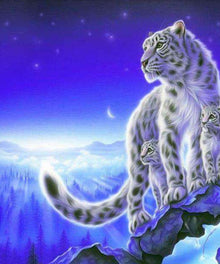 Weiße Tiger auf einem Berg - Diamond Painting Tiermotiv