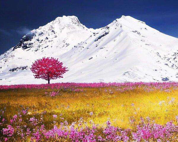 Weiße Berge mit rosa Baum - Diamond Painting Landschaftsmotiv