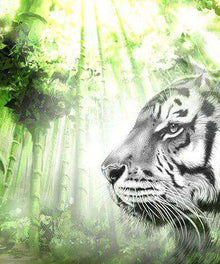 Weißer Tiger im grünen Wald - Diamond Painting Tiermotiv