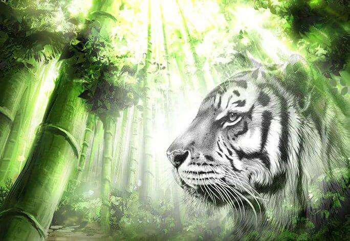 Weißer Tiger im grünen Wald - Diamond Painting Tiermotiv