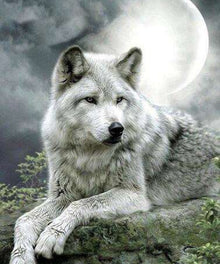 Wolf Tiermotiv - Diamond Painting Wildtiermotiv
