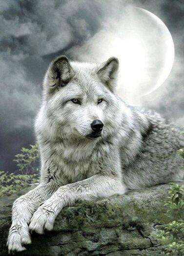 Wolf Tiermotiv - Diamond Painting Wildtiermotiv