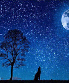 Wolf bei Vollmond - Diamond Painting Nachtmotiv