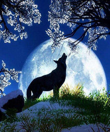 Wolf-Silhouette bei Mondschein - Diamond Painting Tiermotiv